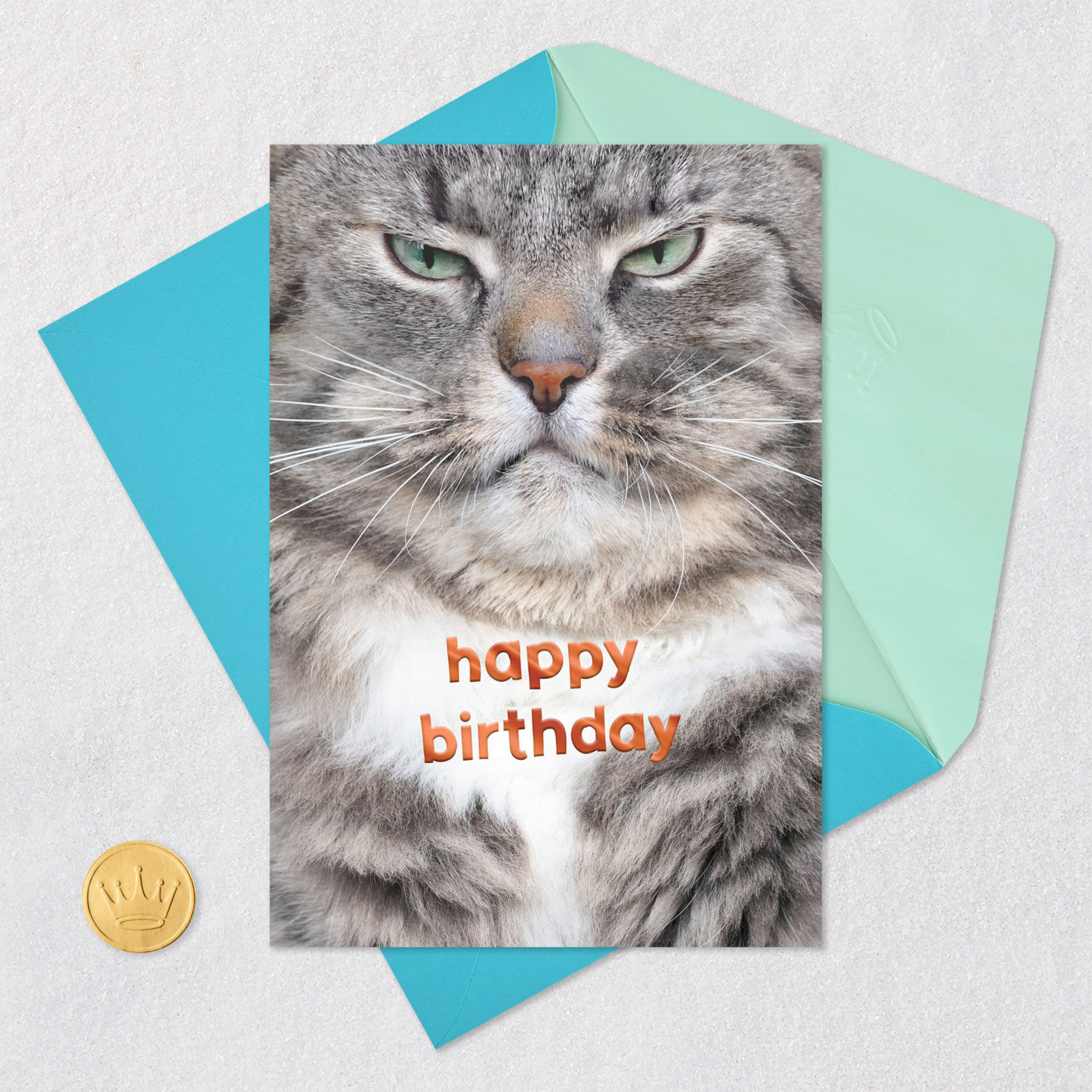 Grumpy Cat Funny Birthday Card for only USD 2.99 | Hallmark