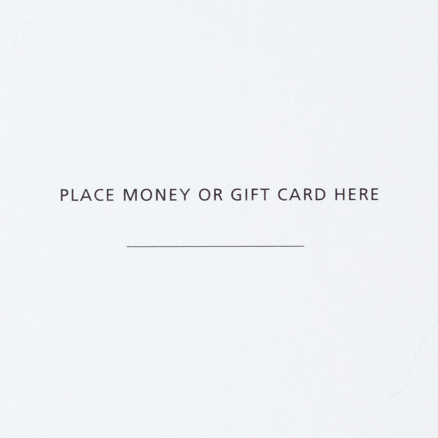 Bright Poinsettias Money-Holder Christmas Cards, Pack of 10, , large image number 4