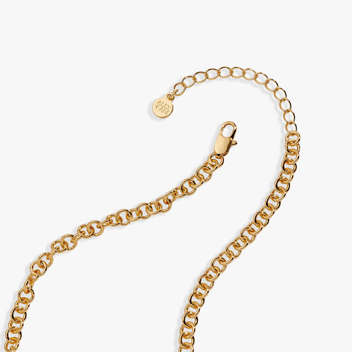 Alex And Ani Farmers' Market Charm Necklace upclose view image number 2
