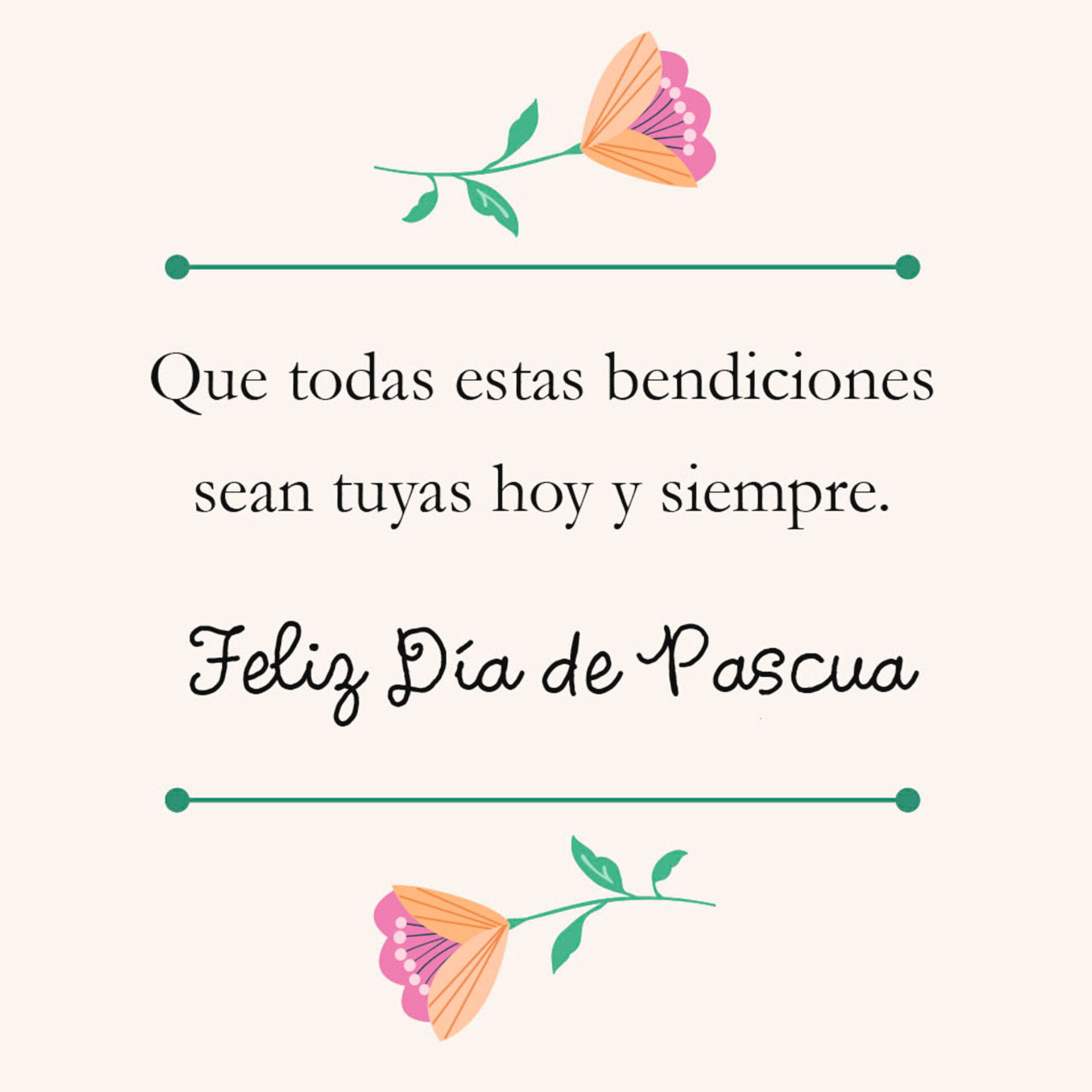 Joyful Blessings SpanishLanguage Easter Card Greeting Cards Hallmark