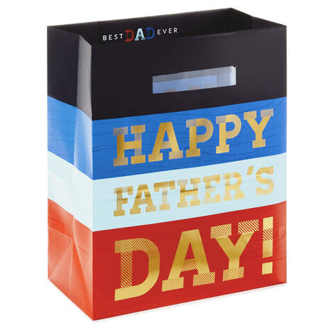 13" Striped Father's Day Gift Bag for Dad, , large