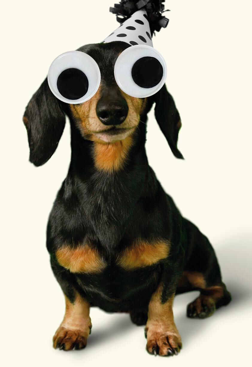 Googly Eyes Wiener Dog Funny Birthday