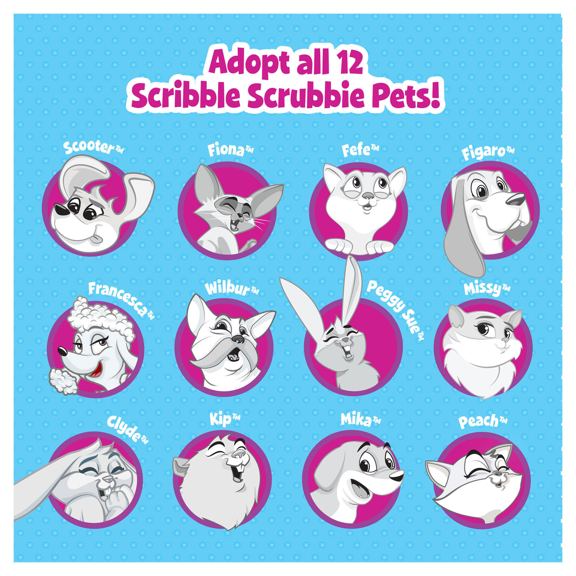 Crayola Scribble Scrubbie Pets Coloring Set Arts & Crafts Hallmark