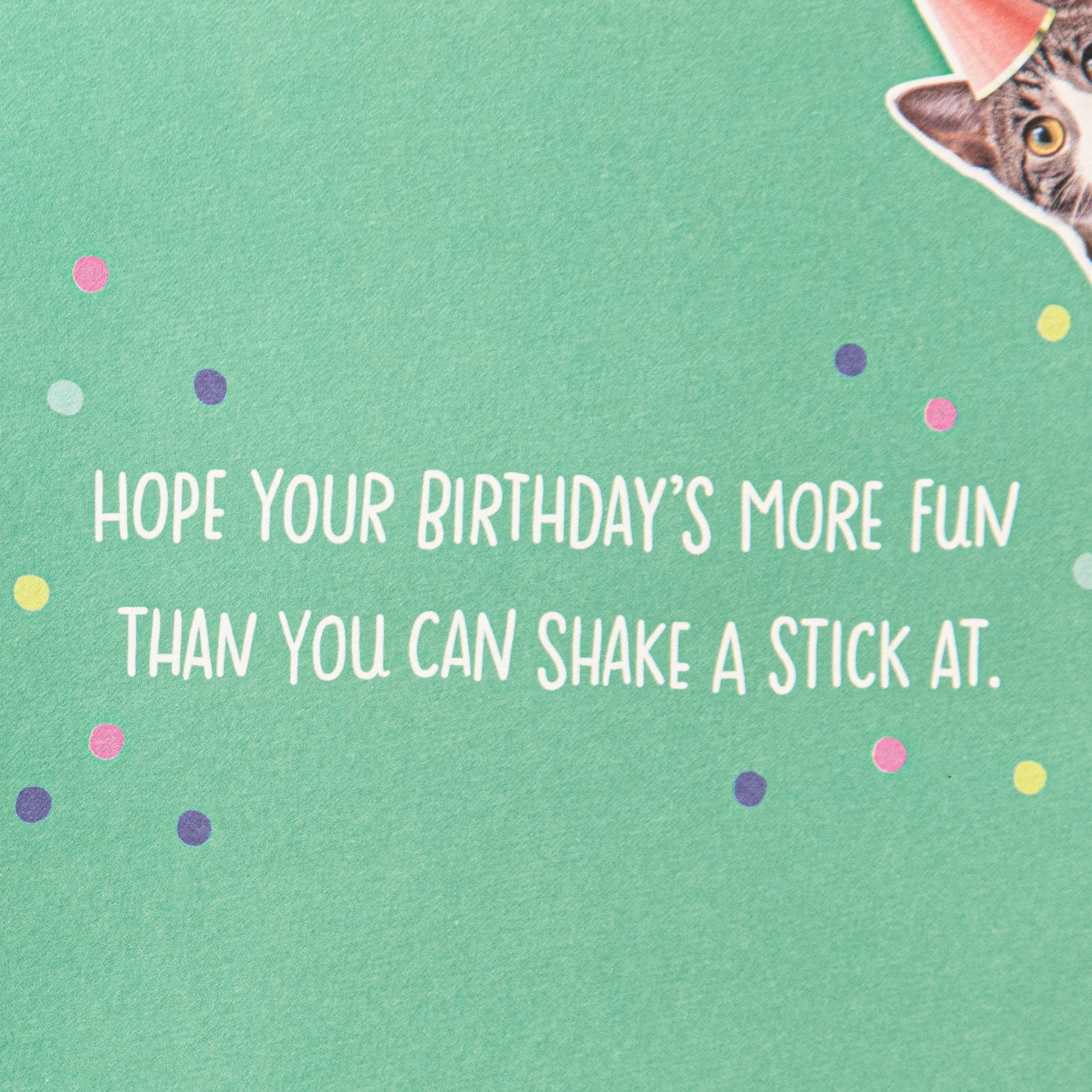 Cat With Pi&ntilde;ata Funny Birthday Card With Motion Sentiment image number 2