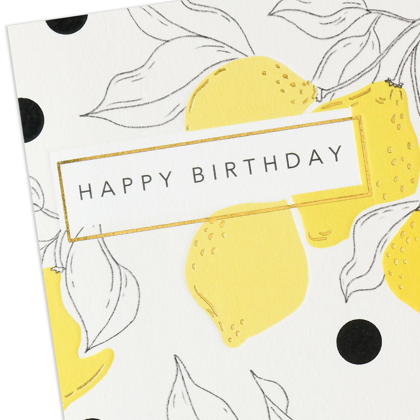 All the Goodness for You Birthday Card, , large image number 4