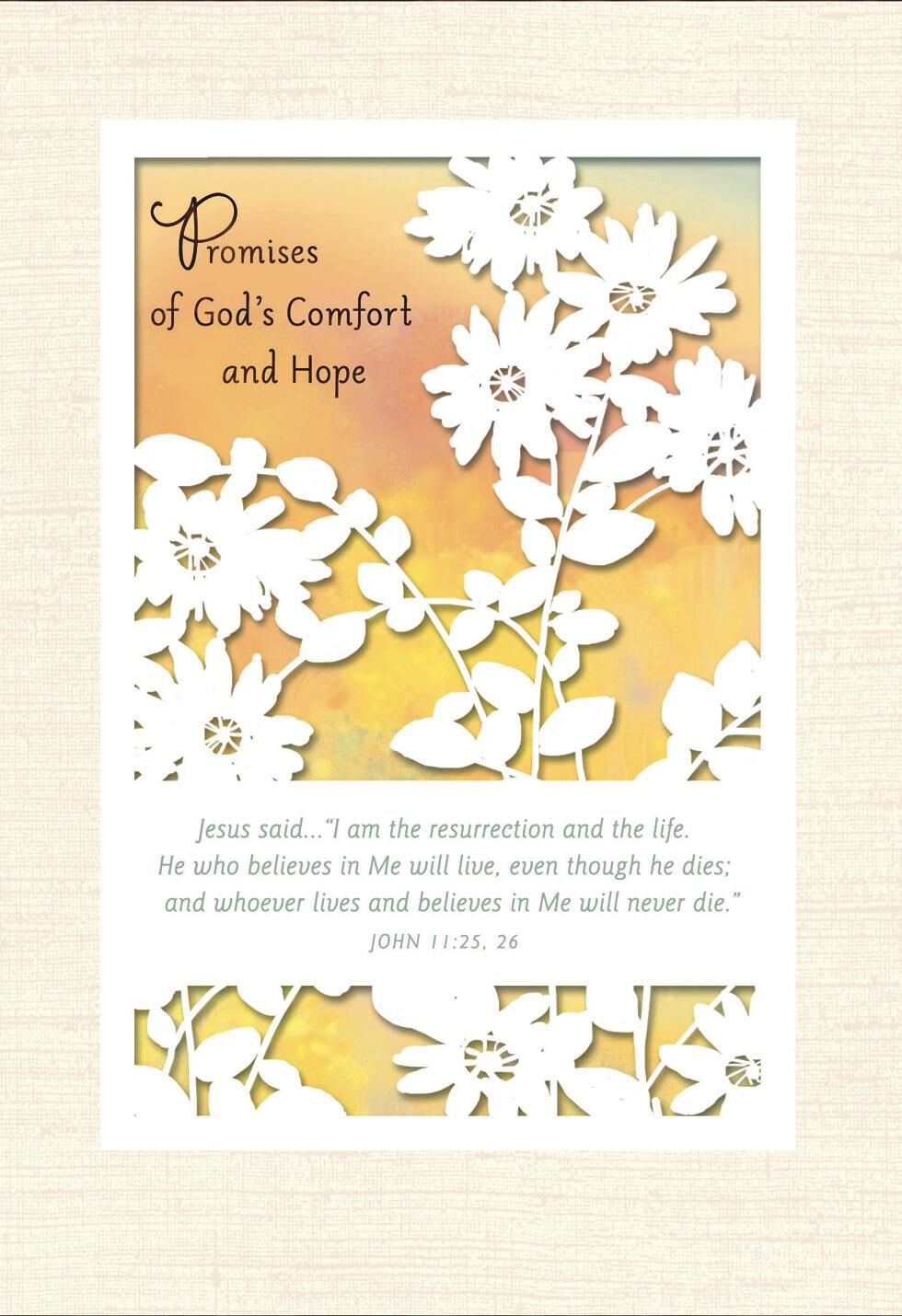 Promises of God's Comfort and Hope Religious Sympathy Card 
