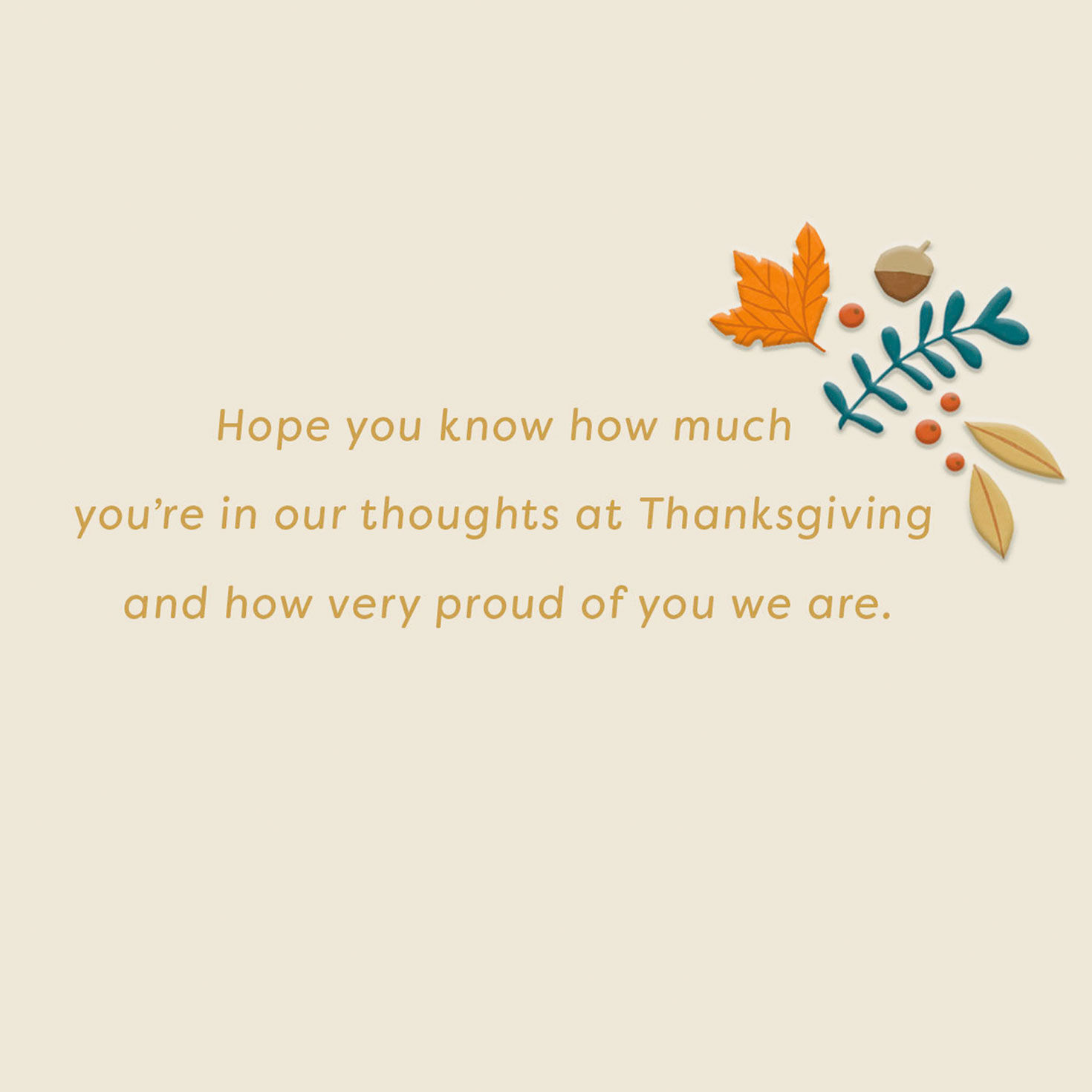 Thanksgiving Card for Military Service Member Sentiment image number 2
