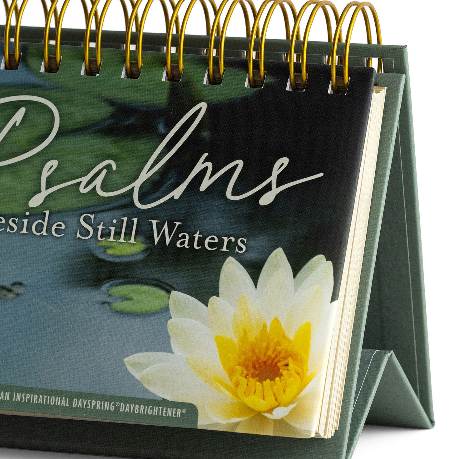 Psalms Beside Still Waters Perpetual Calendar closeup view image number 5