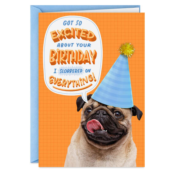 Slobbered on Everything Funny Birthday Card