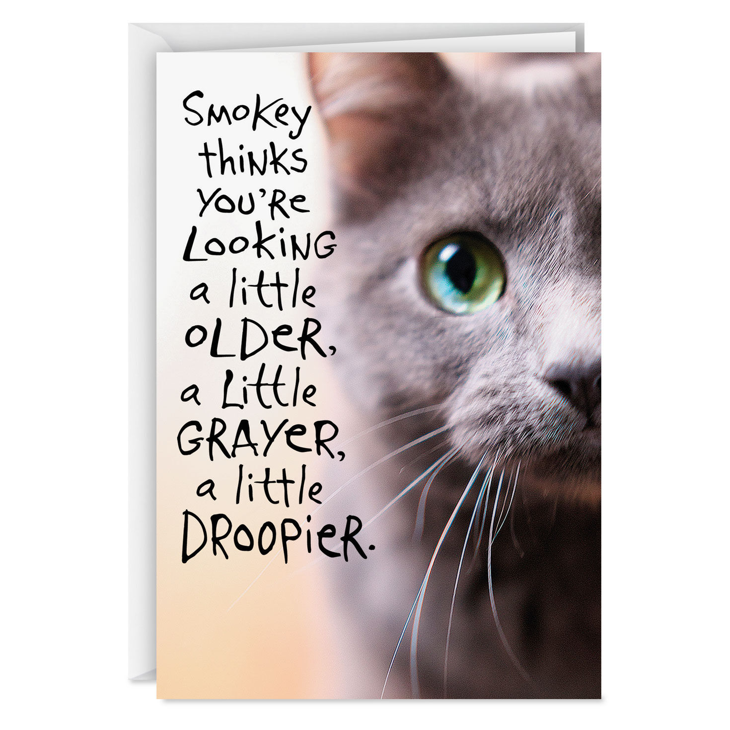 Pessimistic Cat Funny Birthday Card