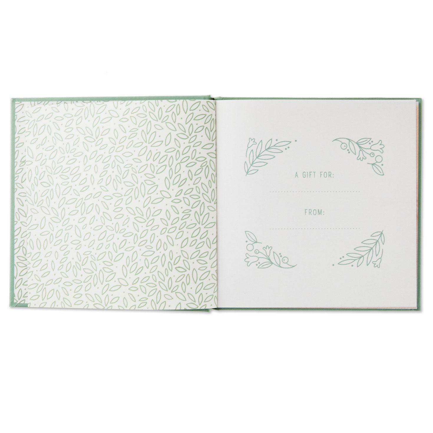 So Thankful For You Book for only USD 14.99 | Hallmark