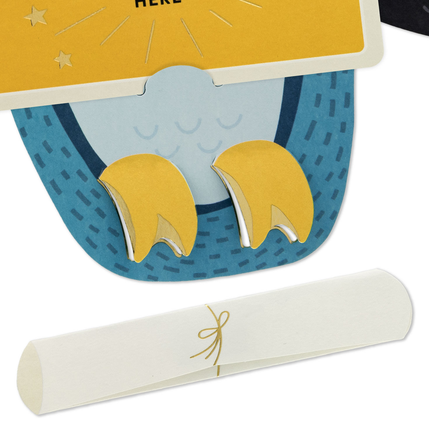 Die-Cut Owl Grad and Scroll Money Holder Grad Card Card Front Detail image number 4