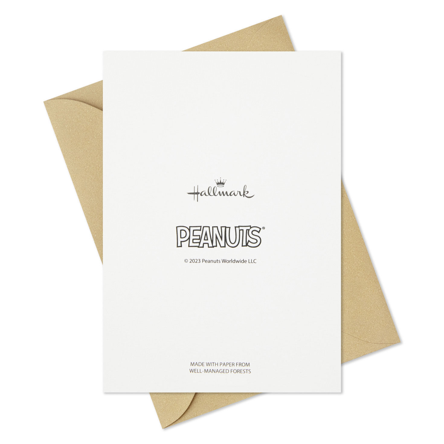 Peanuts Beagle Scouts Snoopy Blank Cards Pack Card Back with Envelope image number 6