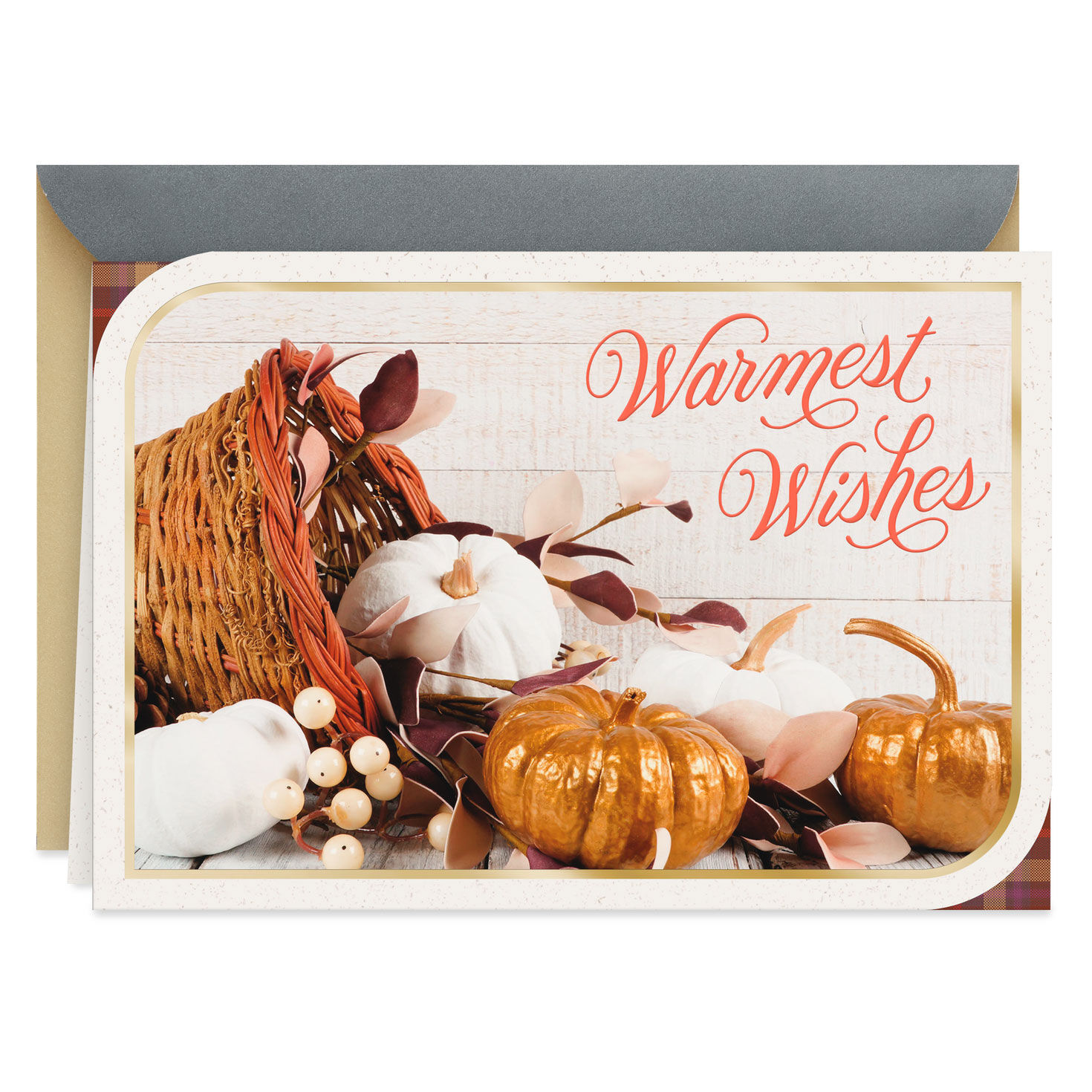 Warmest Wishes Thanksgiving Card