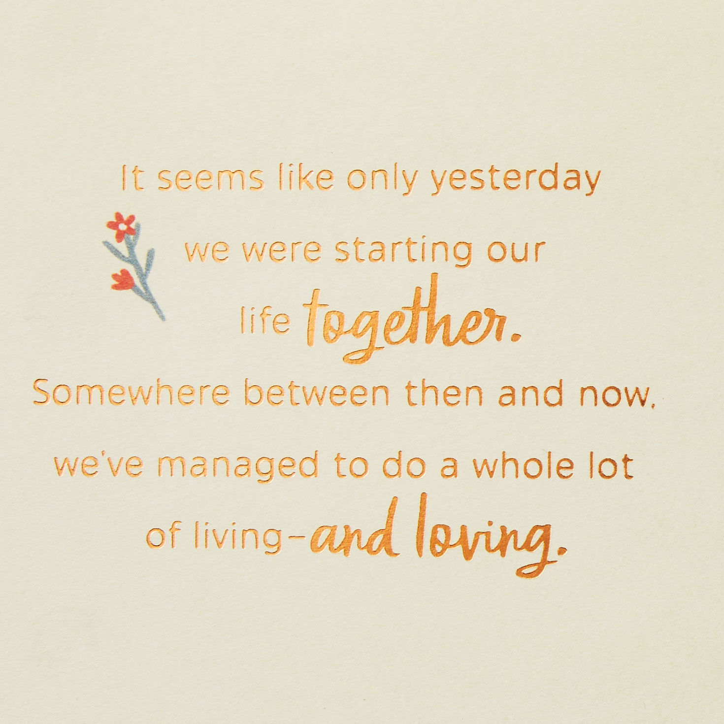 So Grateful for You 25th Anniversary Card for Wife for only USD 5.59 | Hallmark