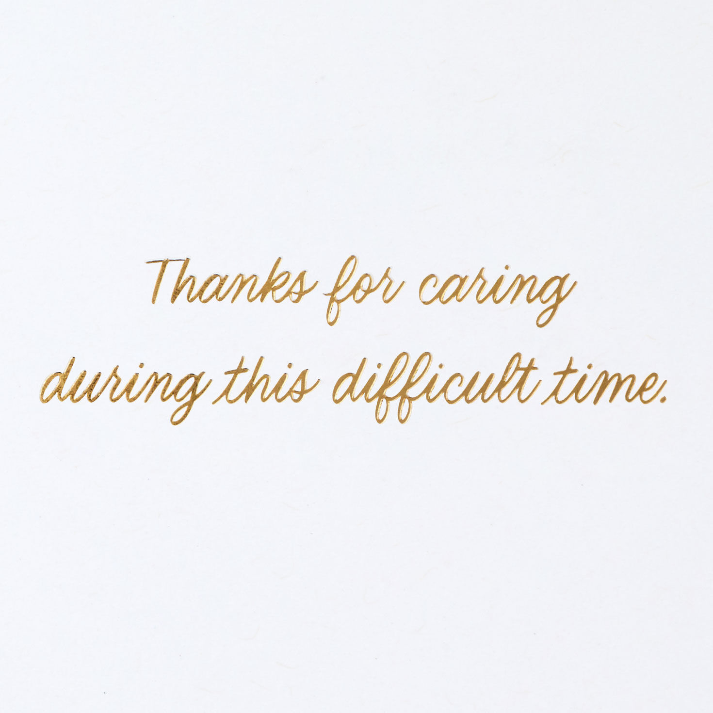 Your Caring Means a Lot Sympathy Thank-You Card for only USD 2.99 | Hallmark
