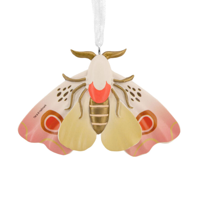 Colorful Moth Christmas Ornament back image number 6