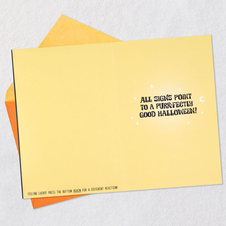 Cat in Witch's Hat Funny Halloween Card With Sound Open card with envelope image number 4