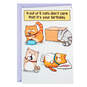 Cats Don't Care Funny Birthday Card, , large image number 1