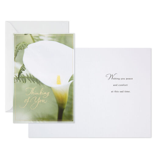 Nature Photos Assorted Sympathy Cards, Pack of 10, 