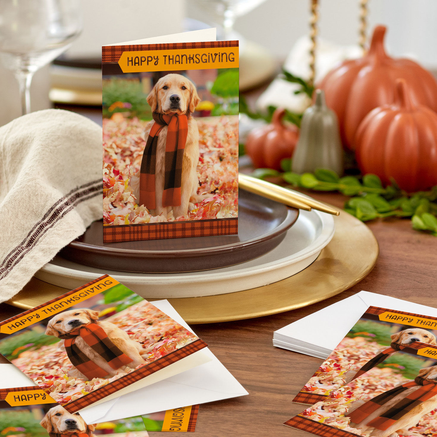 Golden Retriever in Scarf Thanksgiving Card Pack in use image number 6