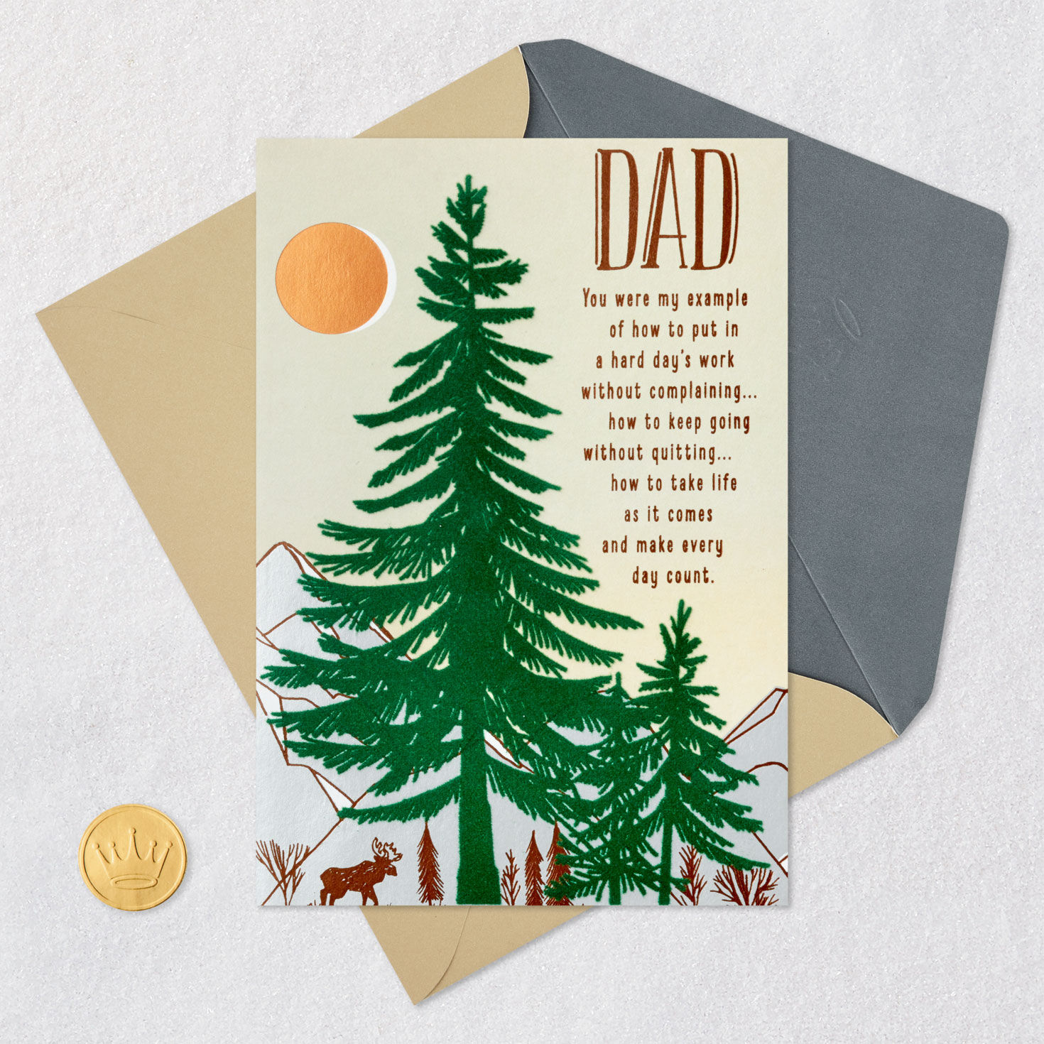 All the Reasons I'm Proud and Grateful Birthday Card for Dad for only USD 5.99 | Hallmark