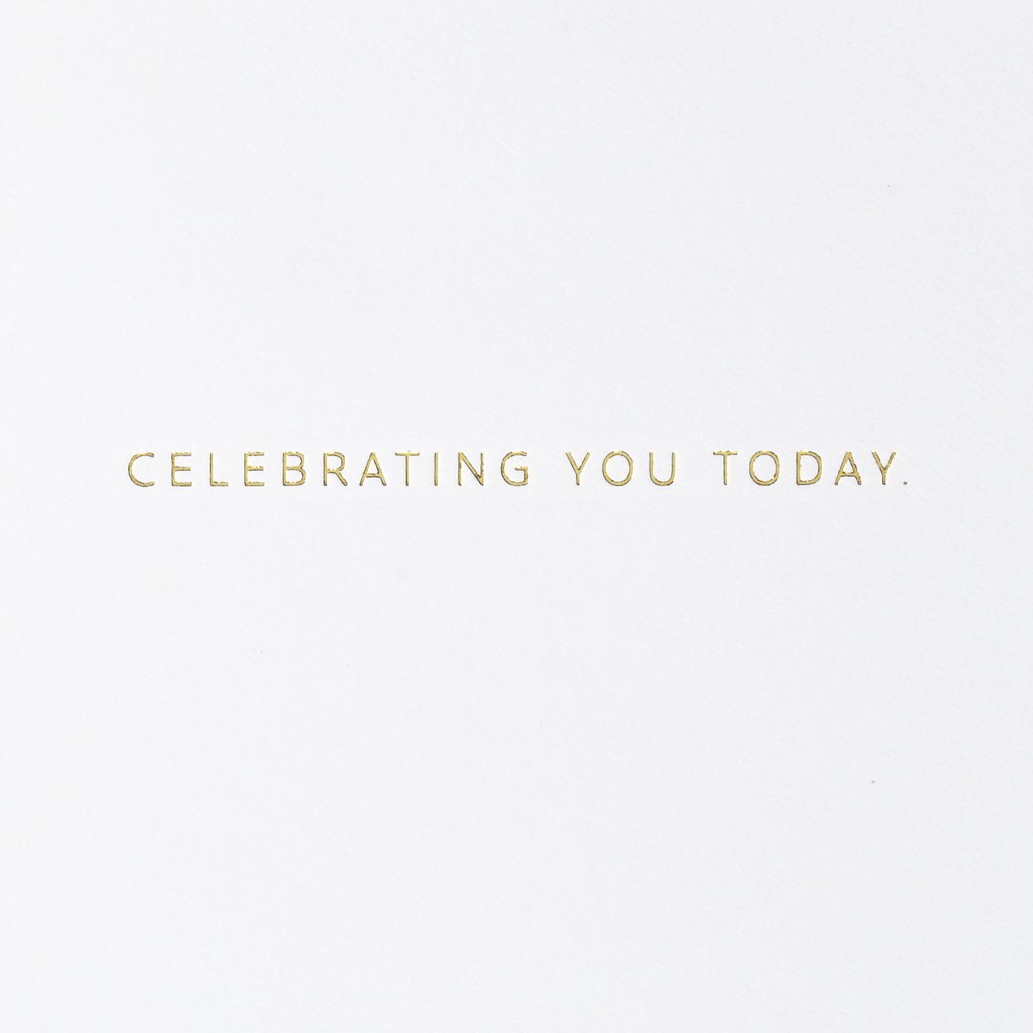 Pom-Pom Polka Dots Birthday Card Sentiment  image number 2