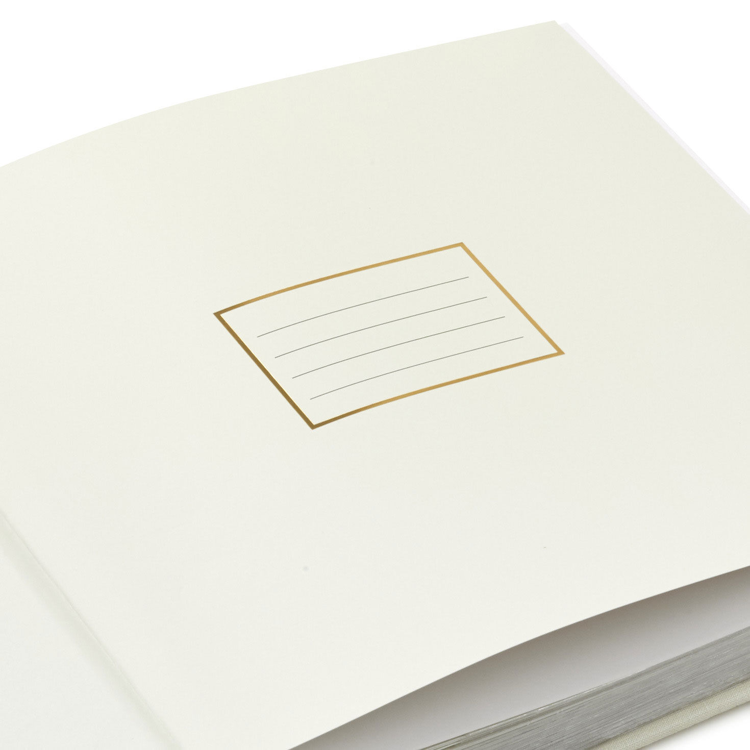 Cream and Gold 2-Up Wedding Photo Album closeup view image number 6