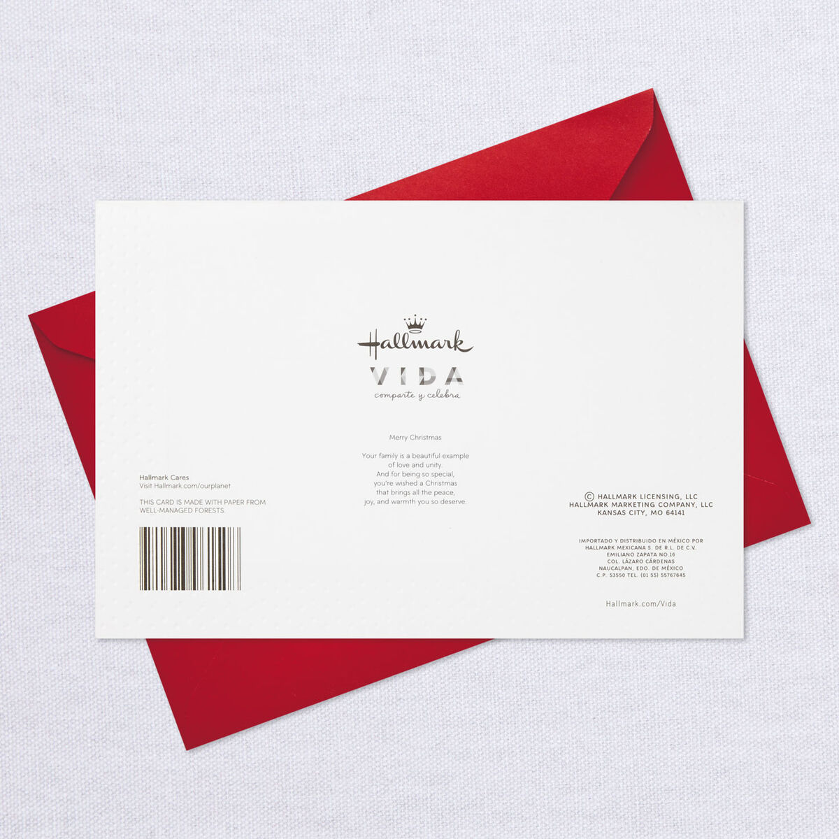 Your Beautiful Family SpanishLanguage Christmas Card