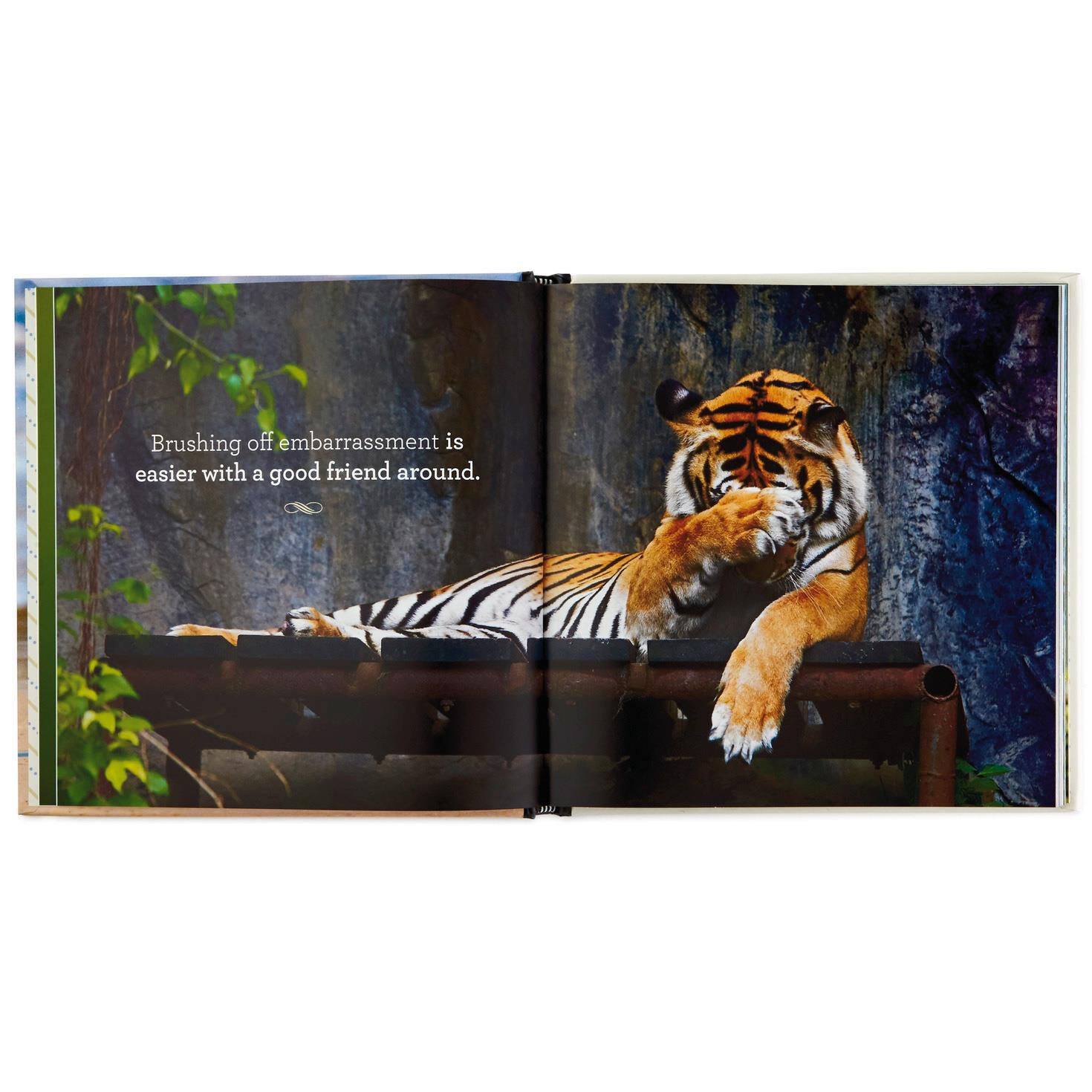 Friends Forever: 42 Ways to Celebrate Love, Loyalty and Togetherness Book, , large image number 3