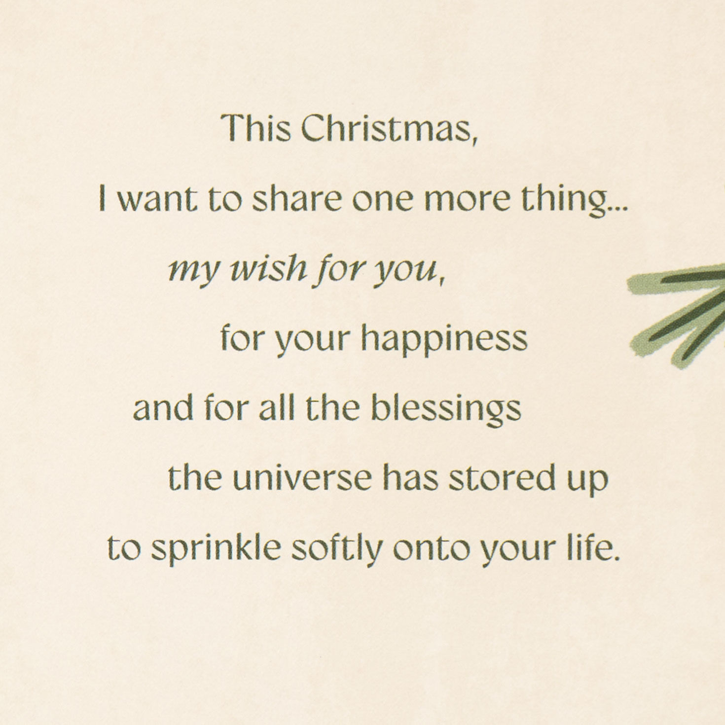 Winter Scenes Instant Photos Sister Christmas Card Sentiment image number 3