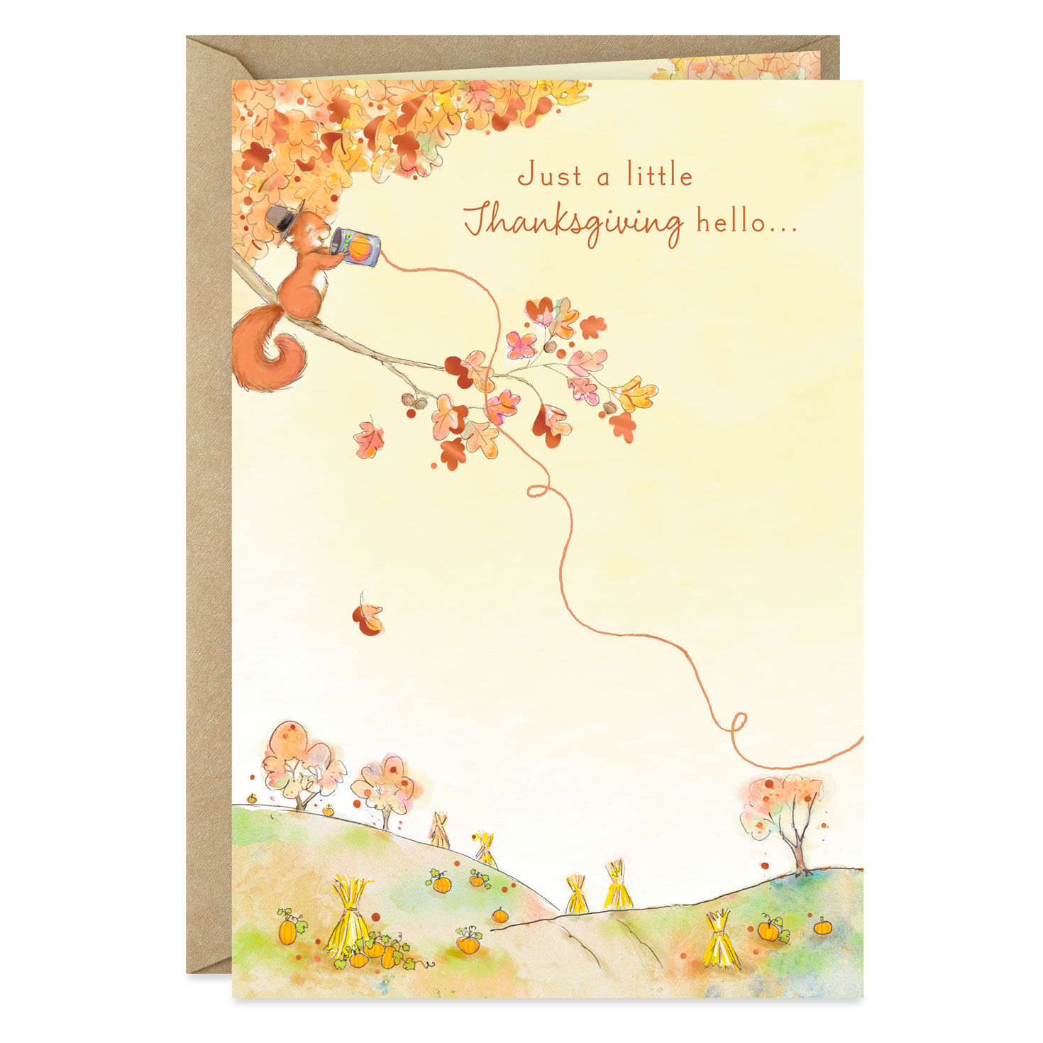Cute Squirrel Long-Distance Hello Thanksgiving Card
