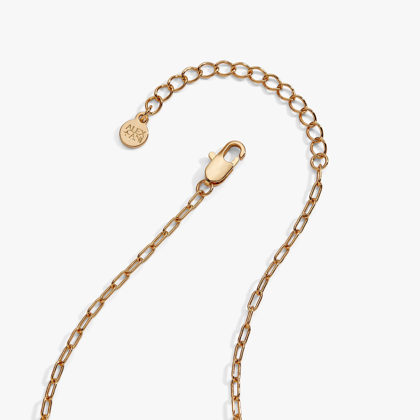 Alex And Ani Pasta Girl 'Anything Is Pastable' Ravioli Locket Pendant upclose view image number 2
