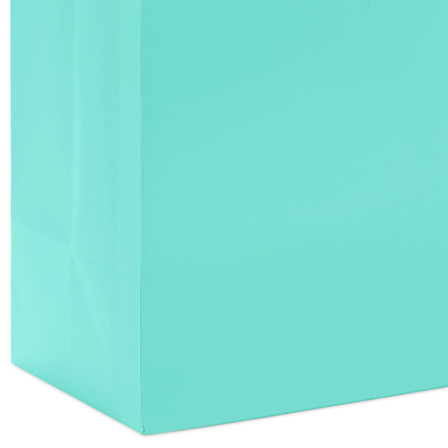 Aqua on sale gift bags