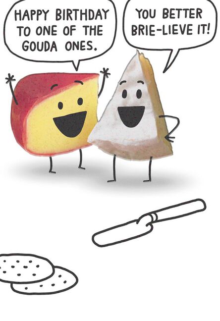 gouda and brie cheese funny birthday card greeting cards hallmark