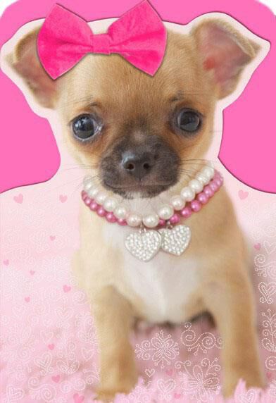 Puppy With Removable Bow Valentine's Day Card