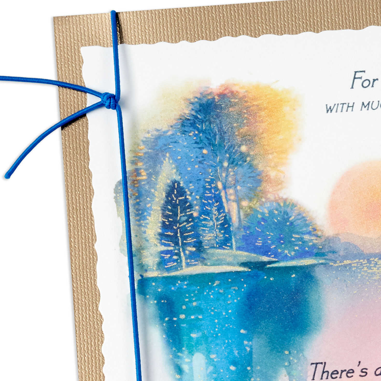 You're Loved and Appreciated Very Much Birthday Card for Dad, , large image number 5