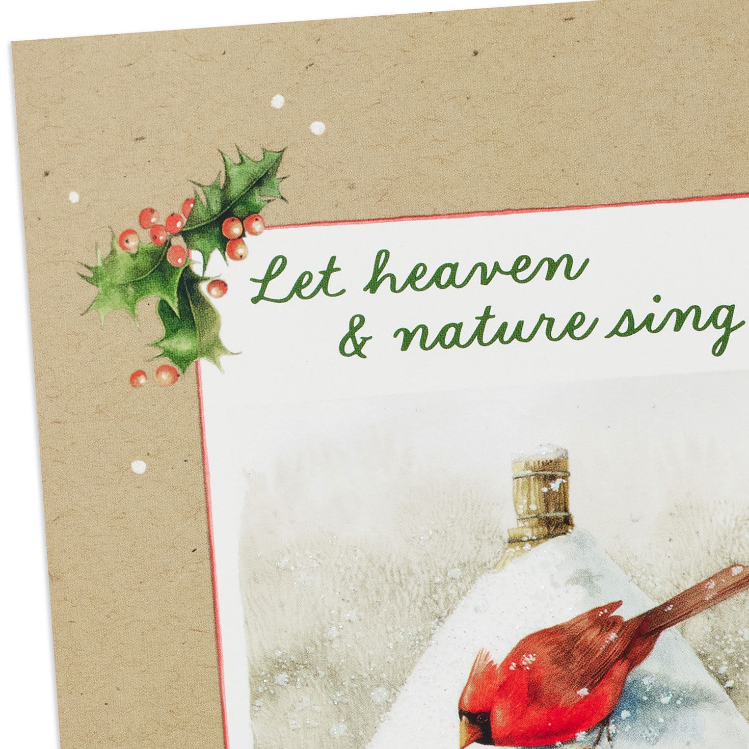 Bastin Birds DaySpring Religious Christmas Cards front detail image number 6