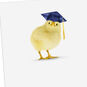 Baby Chick in Grad Cap Funny Graduation Card  image number 4