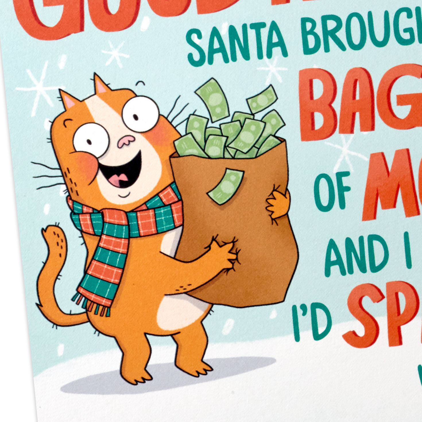 Bag of Money Prank Christmas Card Card Front Detail image number 5