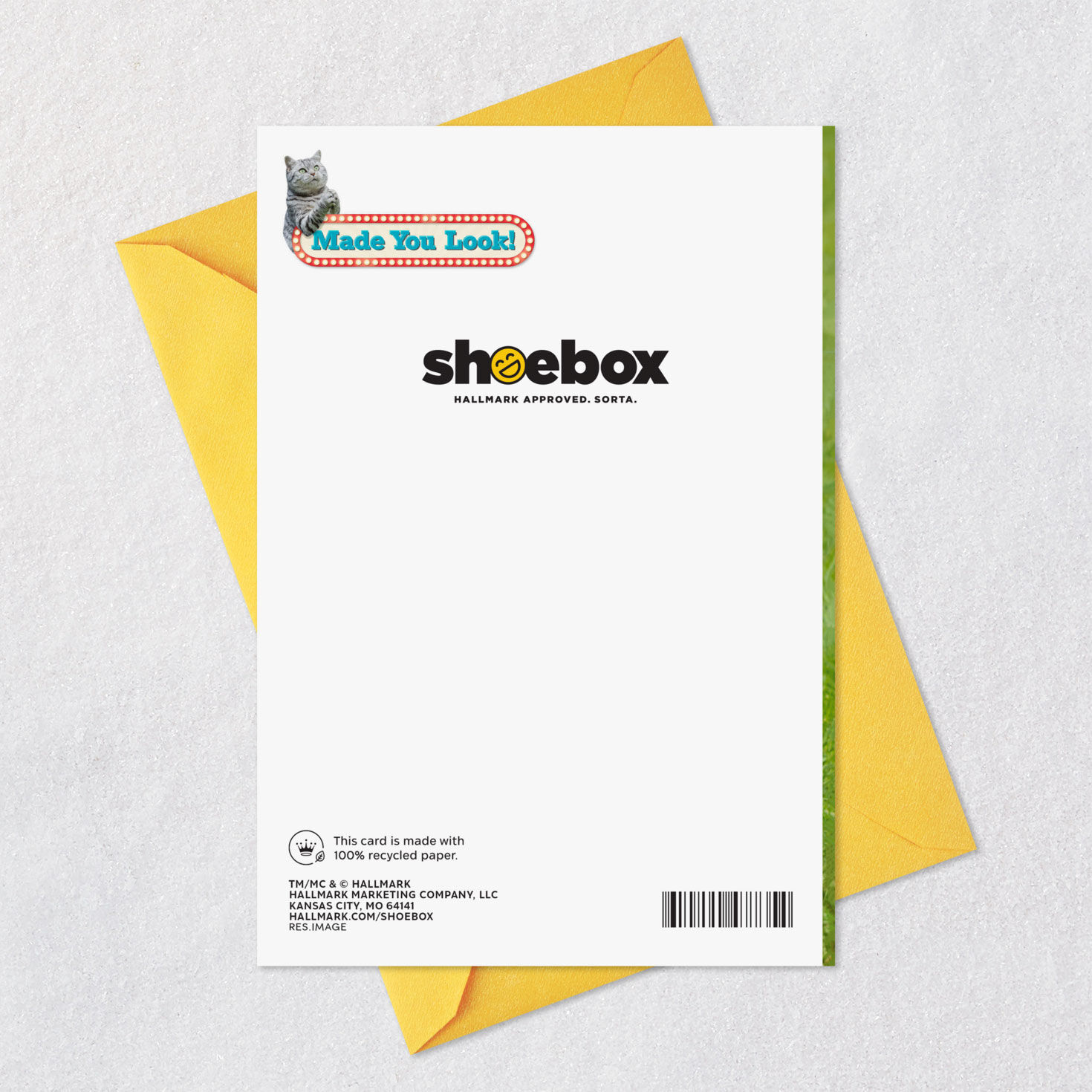 Gray Tabby Cat Praying Funny Get Well Card Card Back with Envelope image number 7