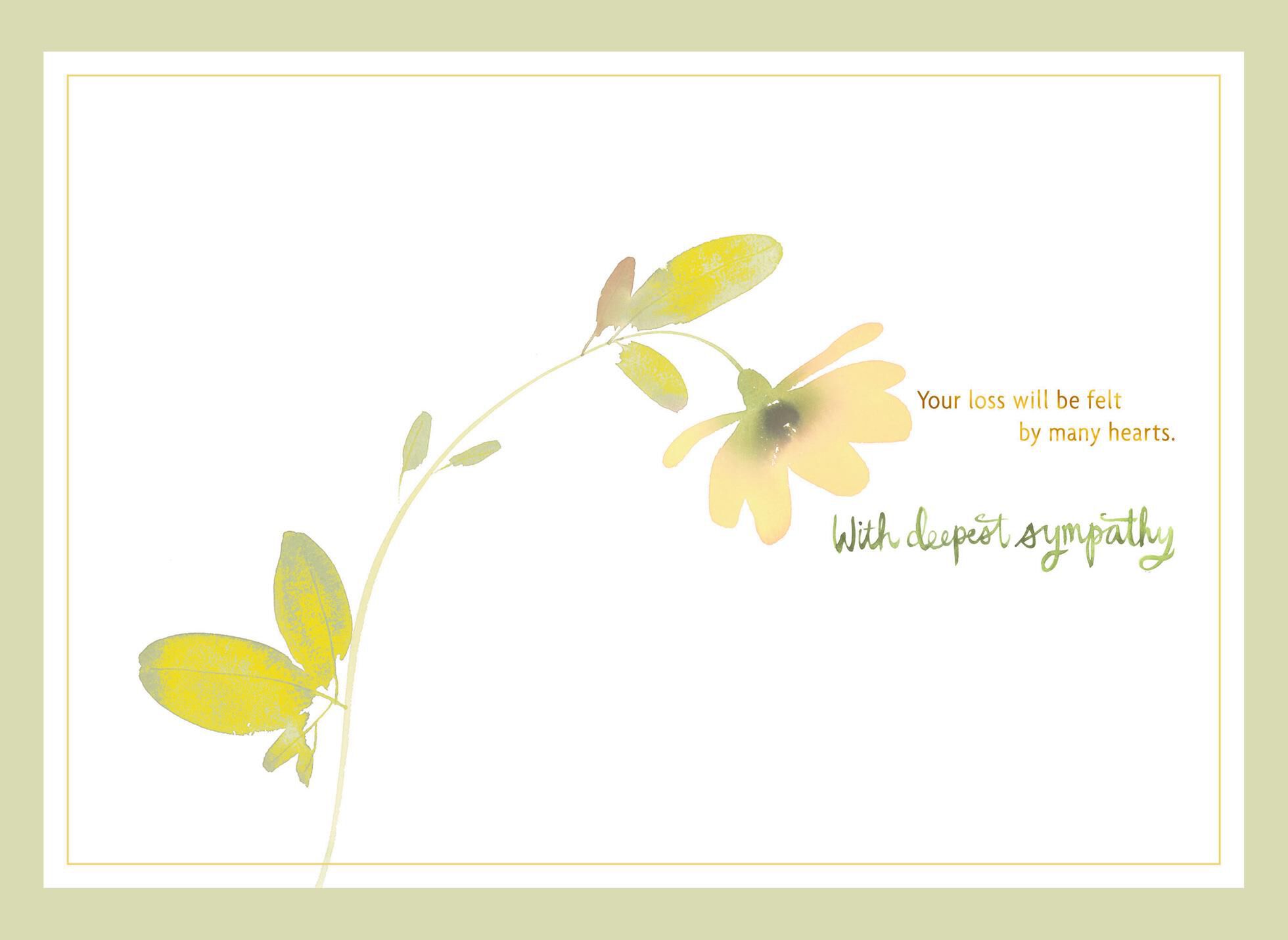 Sympathy Cards Hallmark