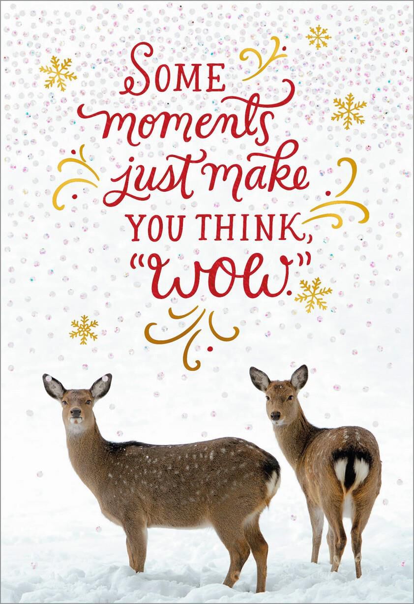 Deer Photo Christmas Card
