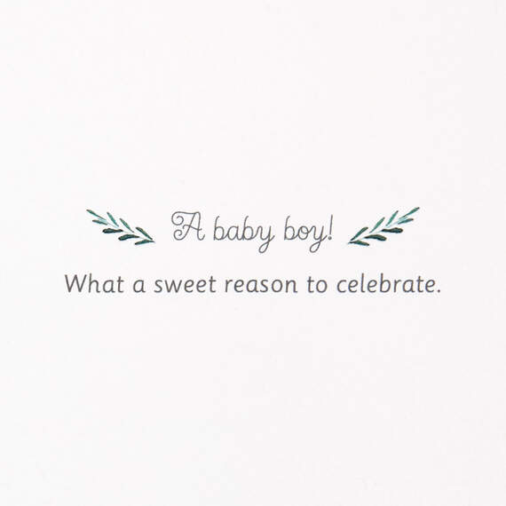 Sweet Celebration New Baby Boy Card, , large image number 2