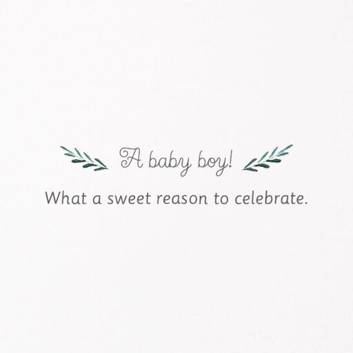 Sweet Celebration New Baby Boy Card, 