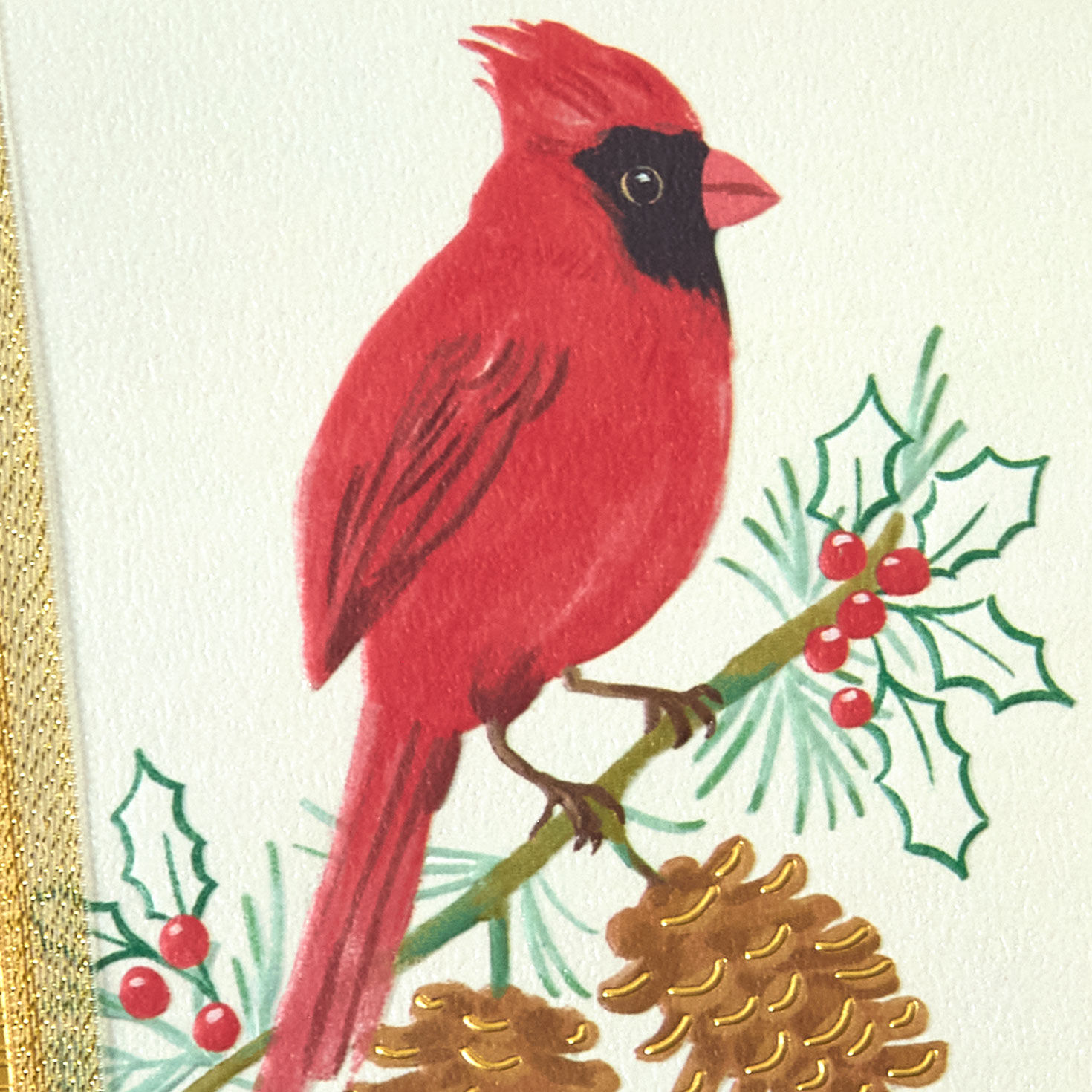 Cardinal Pine Cones Christmas Card Card Cover Detail image number 5