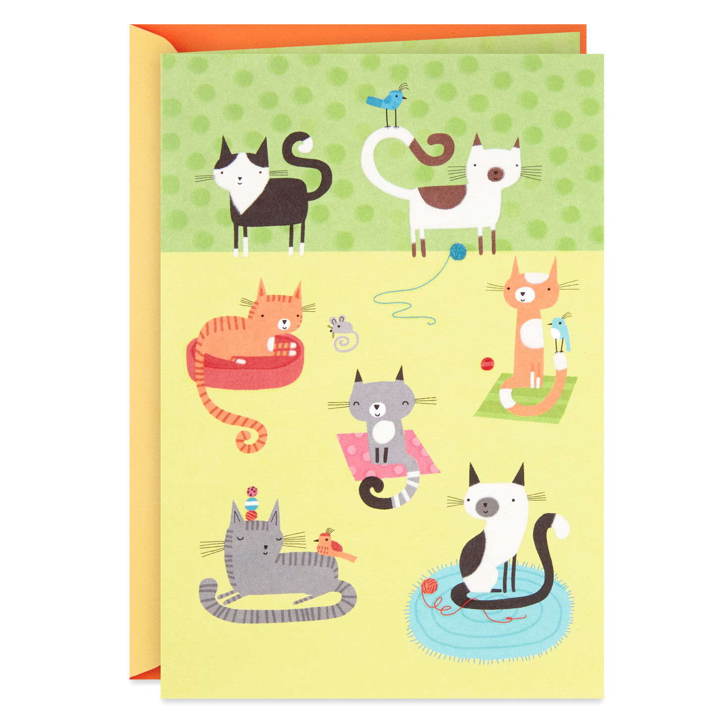 Cute Cats Blank Card for only USD 4.59 | Hallmark