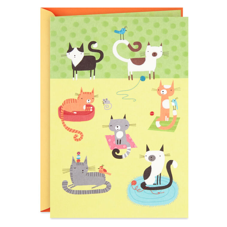 Cute Cats Blank Card