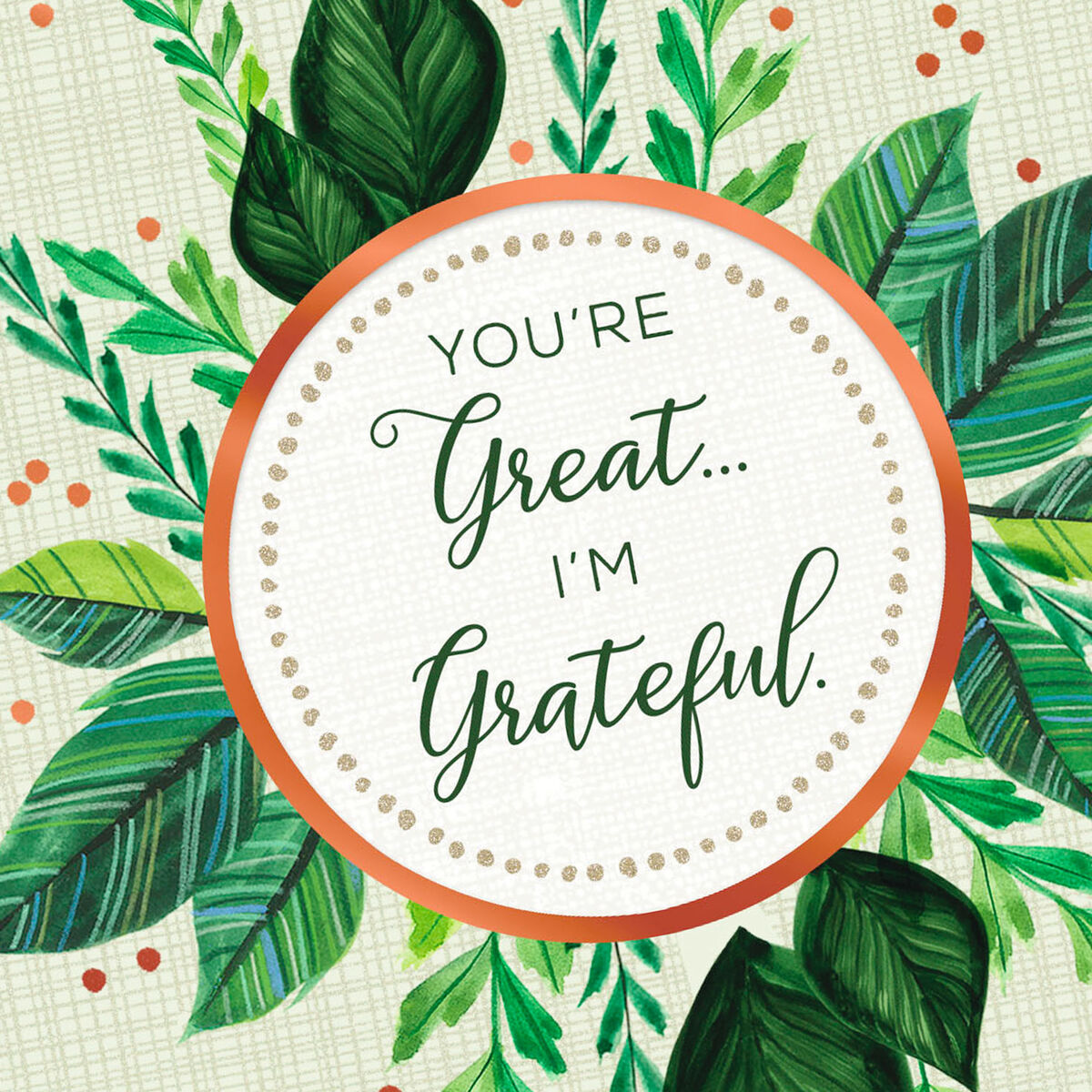 You&rsquo;re Great, I&rsquo;m Grateful Thank You Card - Greeting Cards - Hallmark