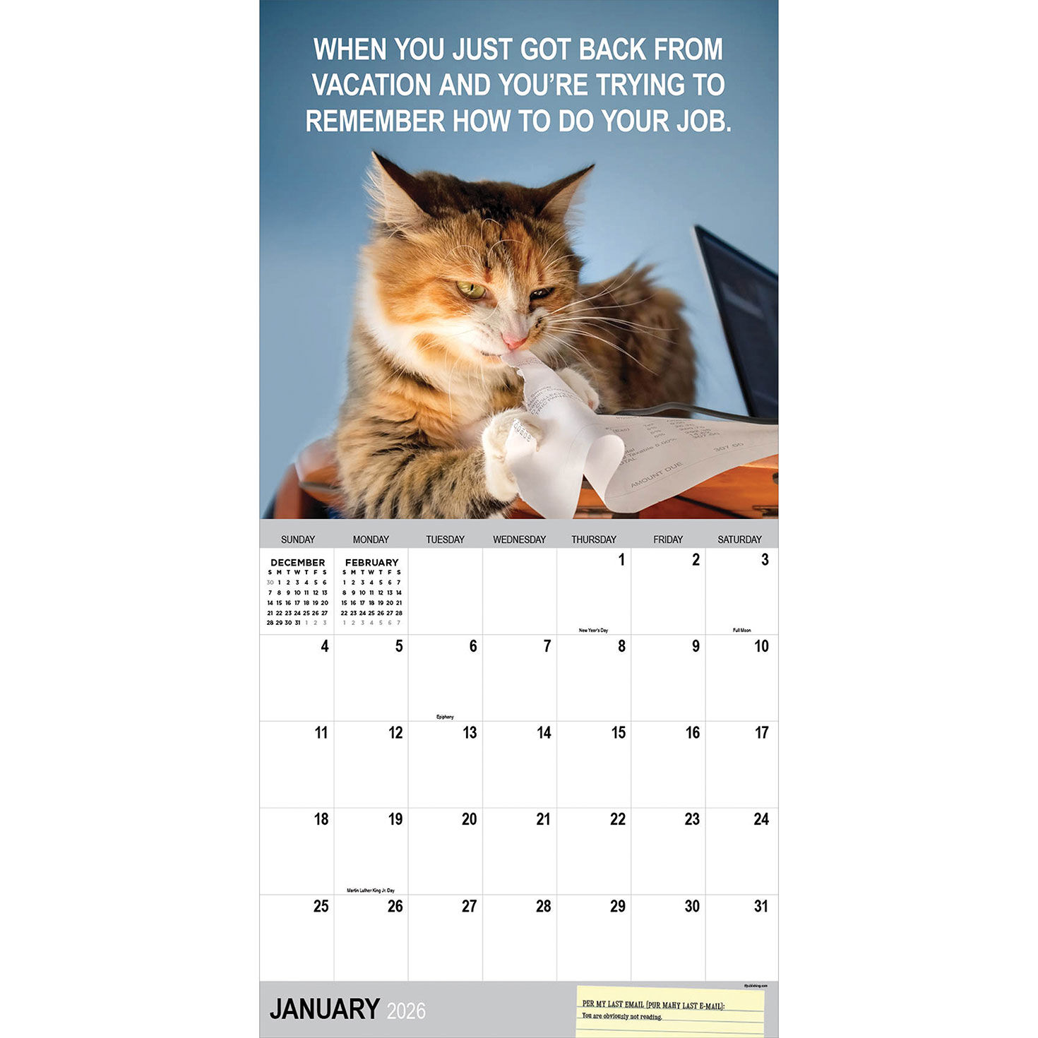 Corporate Cats Funny 2026 Wall Calendar open image number 5